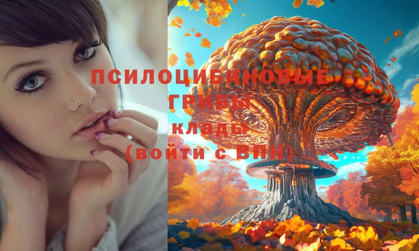 гидра Алексеевка