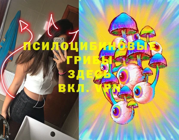 соль ск Алексин