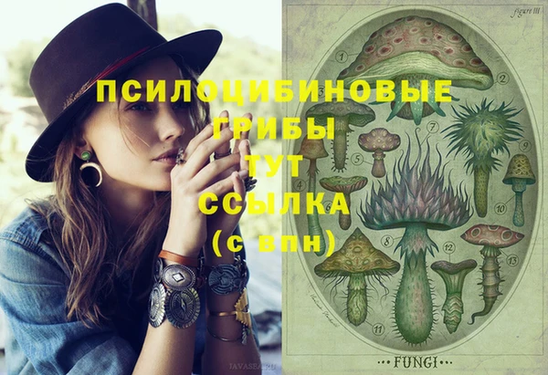 соль ск Алексин