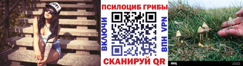 Псилоцибиновые грибы Psilocybe  MEGA онион  Чёрмоз 