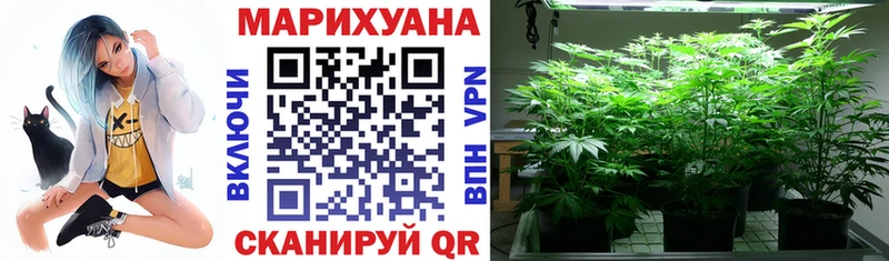 МАРИХУАНА план  наркотики  Чёрмоз 